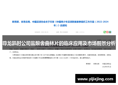 尊龙凯时公司盐酸舍曲林片的临床应用及市场前景分析