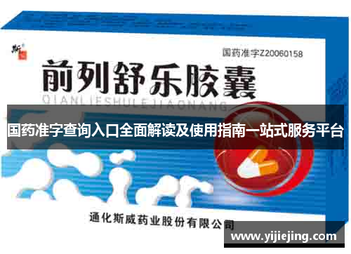 国药准字查询入口全面解读及使用指南一站式服务平台
