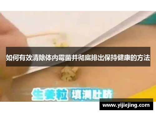 如何有效清除体内霉菌并彻底排出保持健康的方法